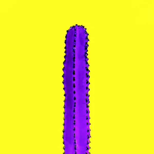 Kaktus Design. Miłośnik kaktusów. Fioletowy kaktusy minimalne moda sztuka — Zdjęcie stockowe