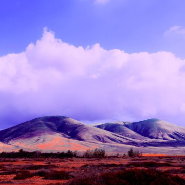 Moda peyzaj. Mor hayatta. Çok az. Gerçeküstü modern sanat