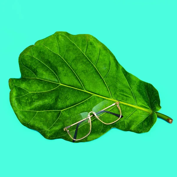 Gafas de moda. Elegante accesorio de gafas. Flat lay Minimal Sto —  Fotos de Stock