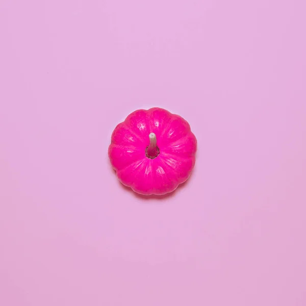 Little pink pumpkin Candy Minimal style — Stock Photo, Image