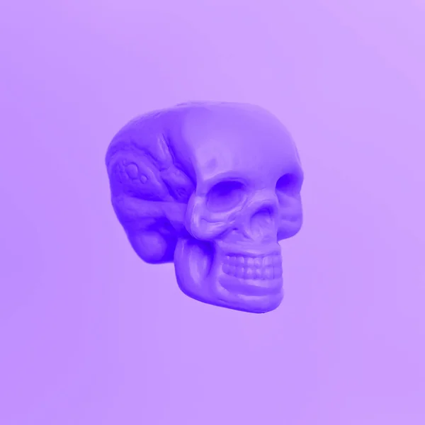 Purple náladu. Lebka. Trend fialové barvy. Módní minimal art — Stock fotografie
