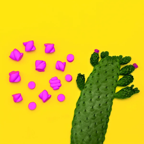 Sztuka słodki i Cactus Flatlay minimalne — Zdjęcie stockowe