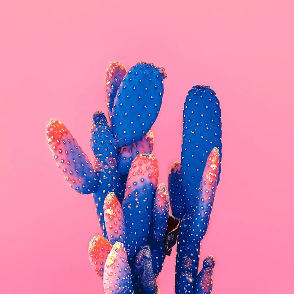 Cactus op roze. Minimale kunst modevormgeving — Stockfoto