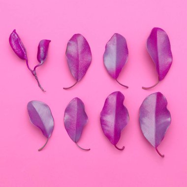  Herbarium art.  Pink vibes. Leaves. Minimal art design. Flat la