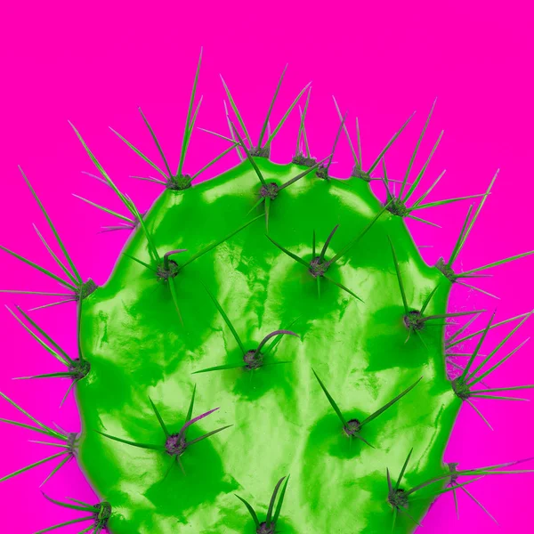 Cactus art. Cactus Lover. Minimal art — Stock Photo, Image