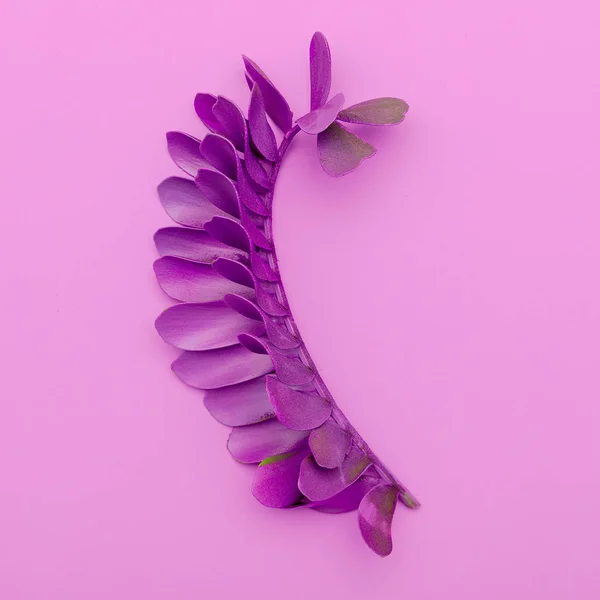 Palm leaf.  Art design. Minimal flat lay art — Stock Photo, Image