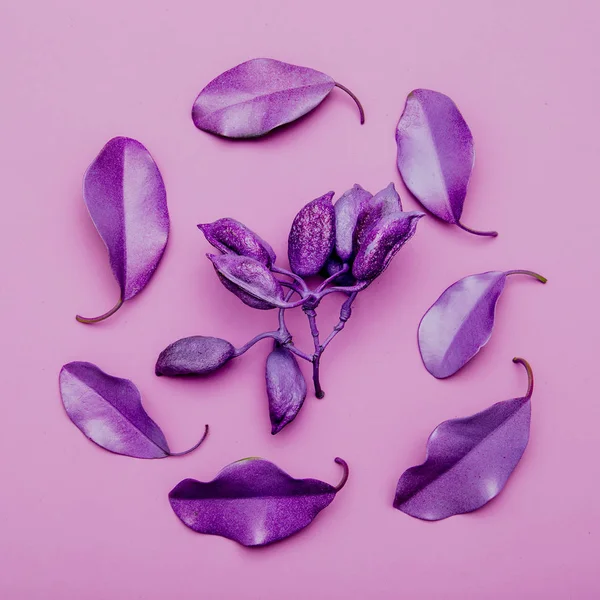 Herbarium art.  Purple vibes. Leaves. Minimal art design. Flat — Stock Photo, Image