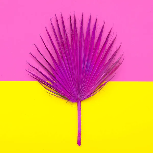 Fashion palm Leaf. Pink Paint. Minimal fashion design