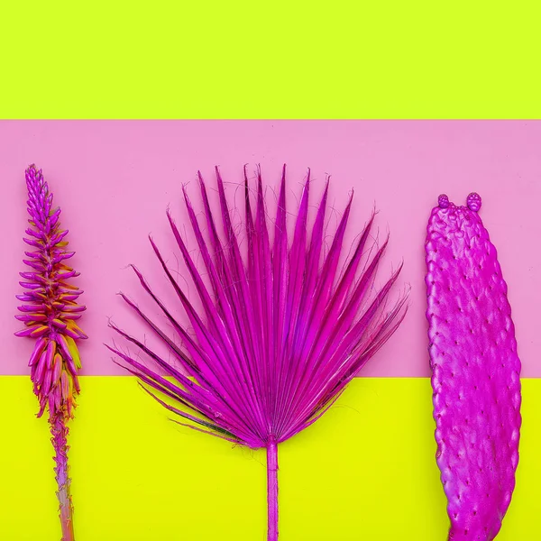 Instellen van tropische planten. Kunst modevormgeving — Stockfoto