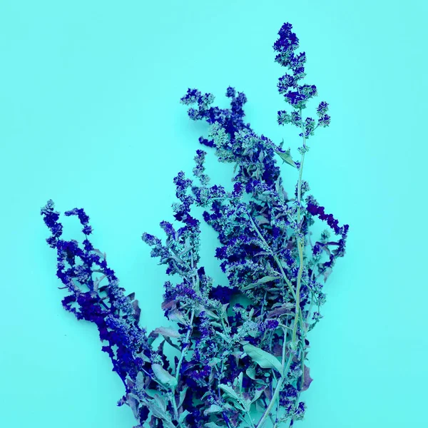 Blue flowers minimal art design
