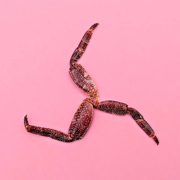Crab Feet Set. Minimal art design Flat lay — Stock Photo, Image