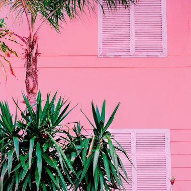 Palmiye ağaçlarının pembe tropikal moda en az