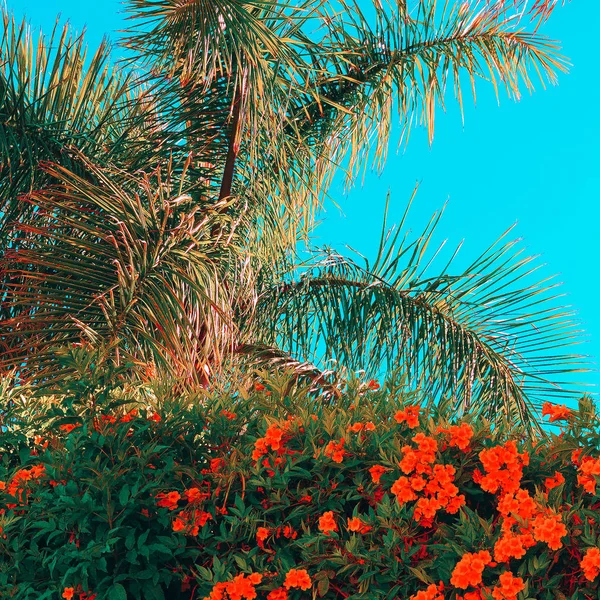 时尚的热带情调。棕榈和花。海滩恋人 — 图库照片