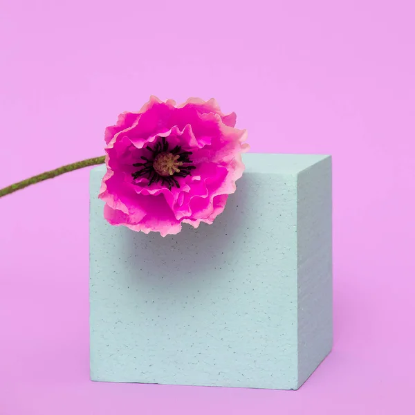 Poppy bloem in de meetkunde Minimale design kunst — Stockfoto