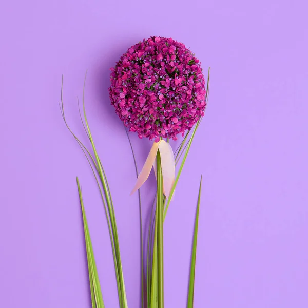Exotisk blomma på en lila bakgrund — Stockfoto