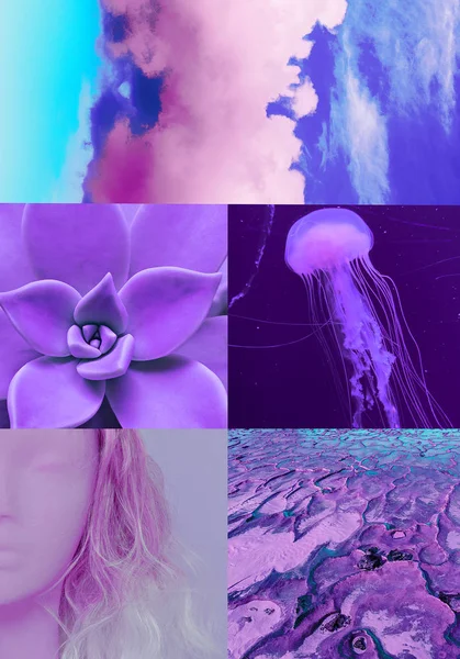 Aesthetic moodboard collage. Fashion purple vibes