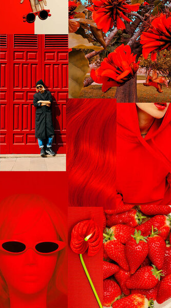 Эстетическая доска настроения моды. Красный цвет концепции. Стильные детали
