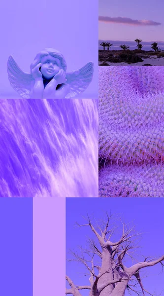 Fashion aesthetic moodboard. Purple minimal concept