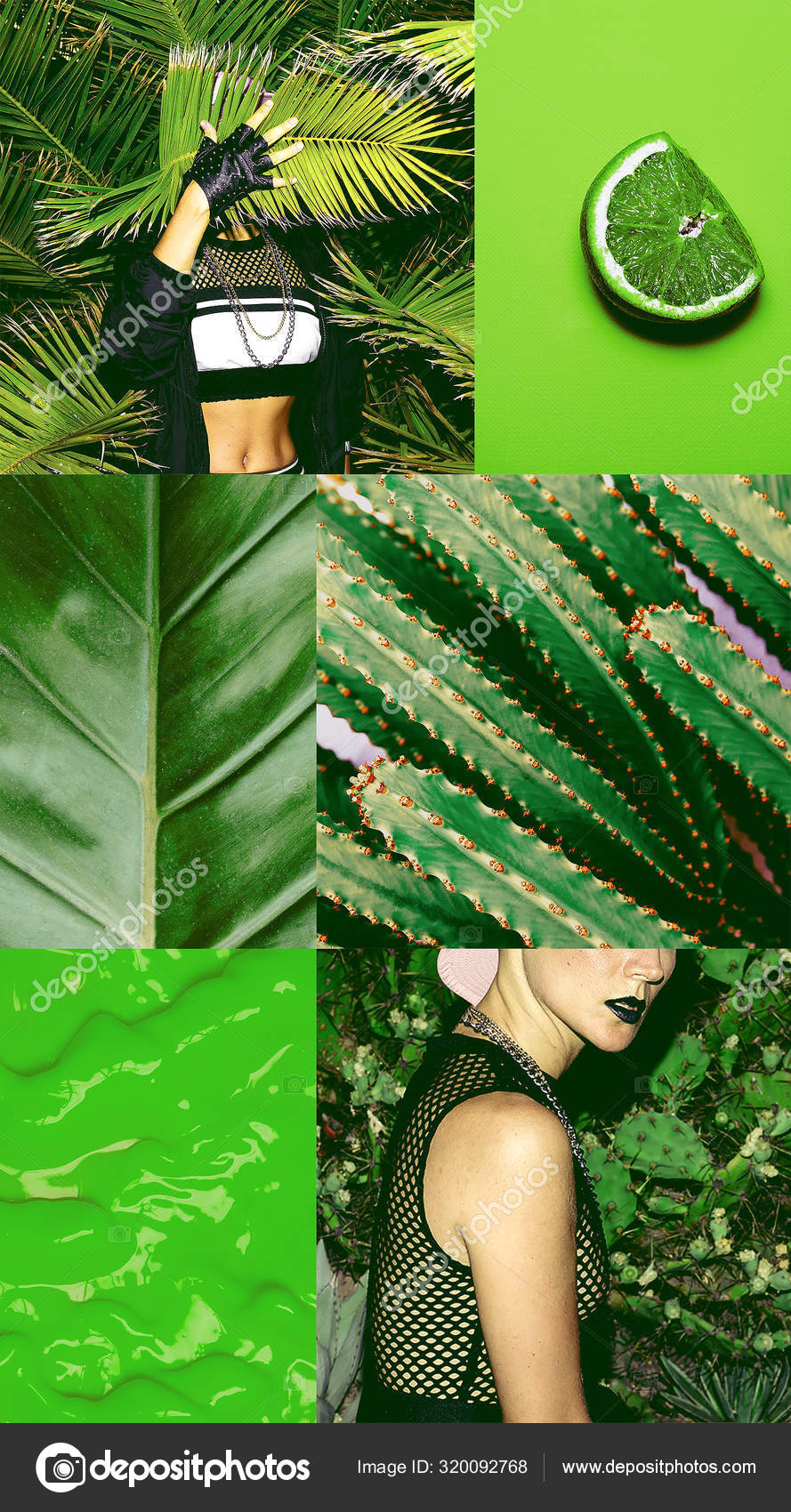 petroleum Shetland ly Fashion aesthetic moodboard. Green plant nature vibe Stock Photo by  ©Porechenskaya 320092768