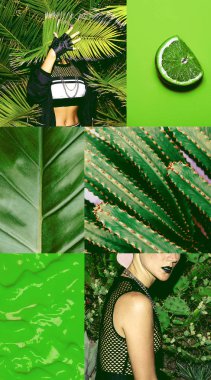 Fashion aesthetic moodboard. Green plant nature vibe clipart