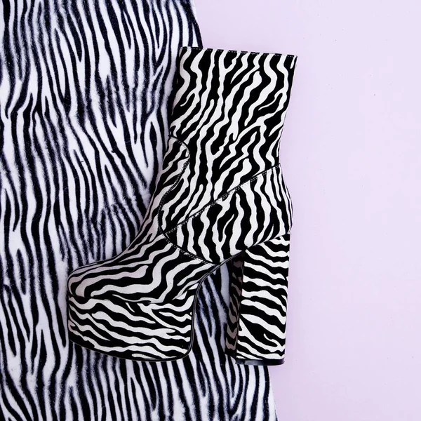 Calcanhar botas elegantes. Impressão Zebra. Conceito de senhora da moda. Depósito plano — Fotografia de Stock