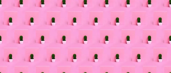 Naadloos patroon. Cactus op roze achtergrond. Minimale installatiekunst — Stockfoto