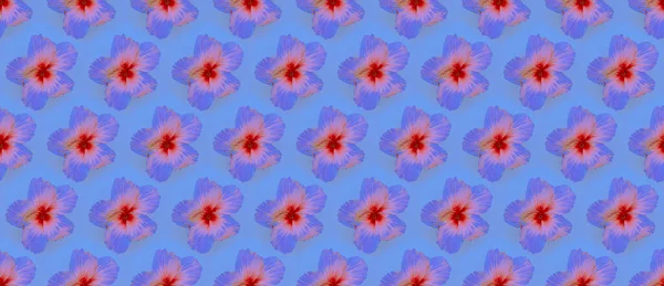 솔기없는 패턴입니다. 꽃들 이 거꾸로 — 스톡 사진