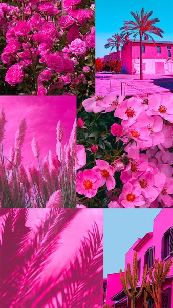 Moda estetica moodboard. Vibrazioni di piante rosa. Modo di viaggio — Foto Stock