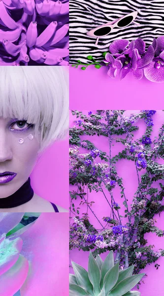 Moodboard estética de moda. Colores de moda vibraciones violeta vainilla — Foto de Stock