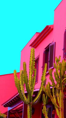 Moda estetik duvar kağıdı telefonu. Siyah arkaplanda beyaz çiçekler