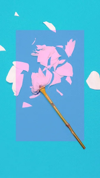 Flowers design wallpaper  for smart phones and desktop. Minimal
