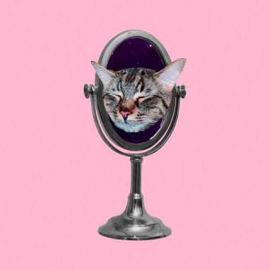 Contemporary art collage. We are all in the mirror cute Kitty co