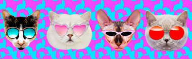 Fashion funny Kitty in stylish sunglasses. Minimal art