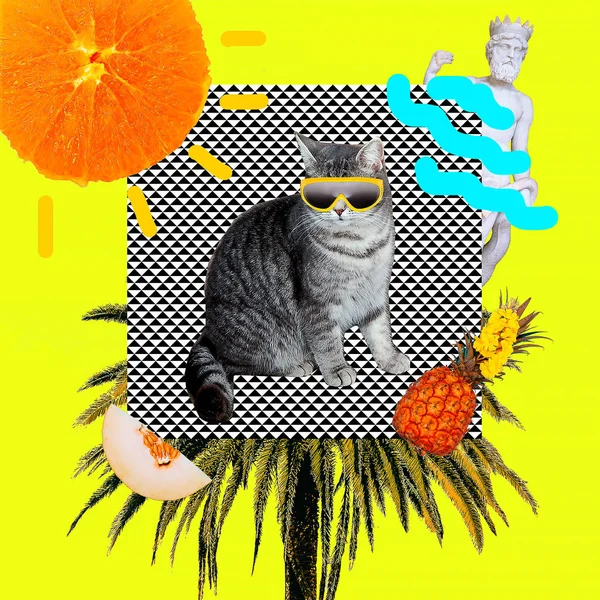 Contemporary art collage. Summer vacation Cat. Beach lover — Stock Photo, Image