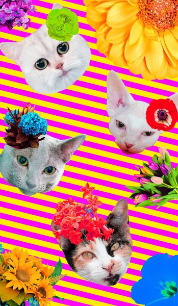 Moda divertida Kitty conjunto. Sensaciones de primavera. Arte mínimo —  Fotos de Stock