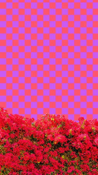 Aesthetic collage wallpaper.  Bloon spring flowers and geometry