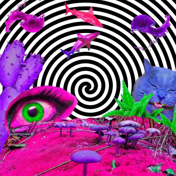 Collage Arte Contemporáneo Psicodélico Alucinación Estado Ánimo Las Setas — Foto de Stock