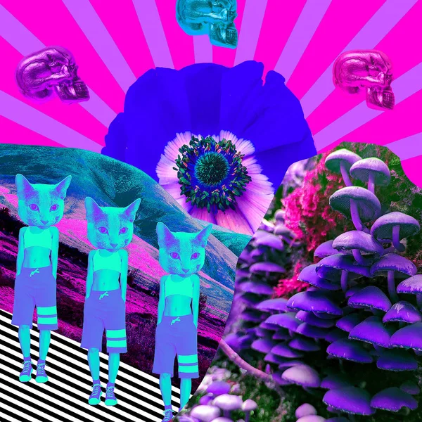 Contemporary Art Collage Psychedelic Hallucination Mushrooms Creative — Stock Photo, Image