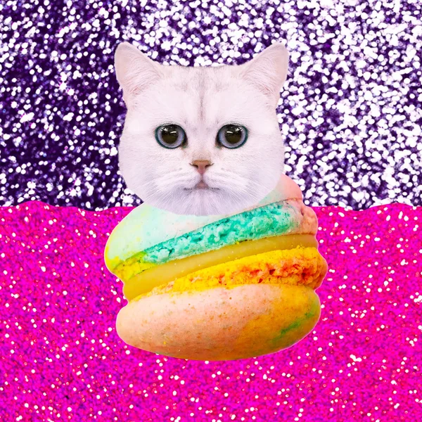 Hedendaagse Grappige Kunst Collage Leuke Poesje Macaron Minnaar Minimale Kunst — Stockfoto