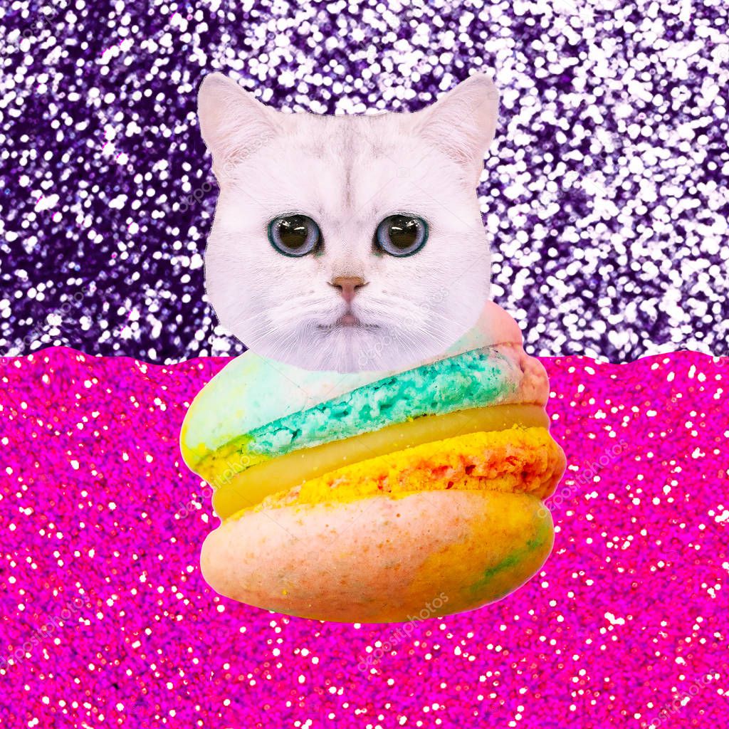 Contemporary funny art collage.  Cute kitty macaron lover. Minimal art