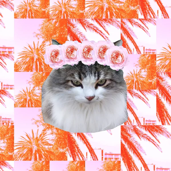 Contemporary Art Collage Pretty Kitty Tropical Princess — Stock Photo, Image