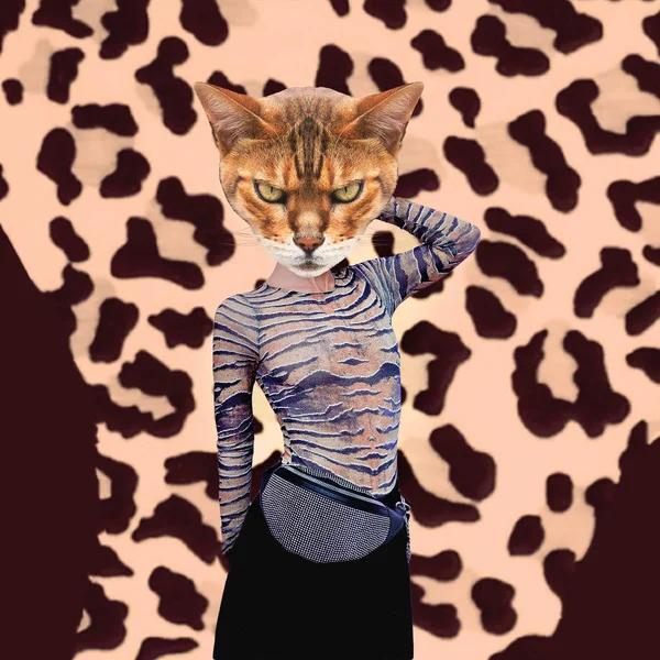 Collage Zeitgenössischer Kunst Mode Kitty Tigerprint Stimmung — Stockfoto