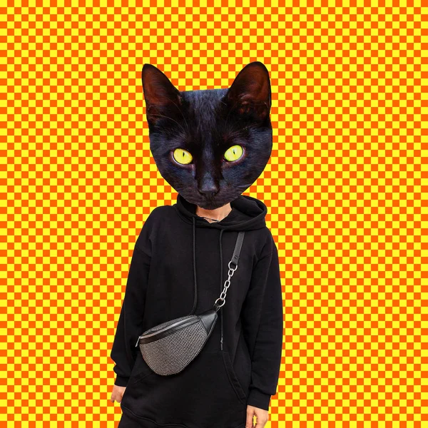 Collage Art Contemporain Fashion Kitty Street Style Sweat Capuche Noir — Photo