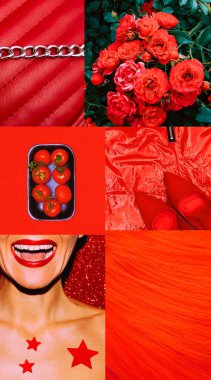 Moda estetik duvar kağıdı telefonu. Pembe güller çiçek açıyor
