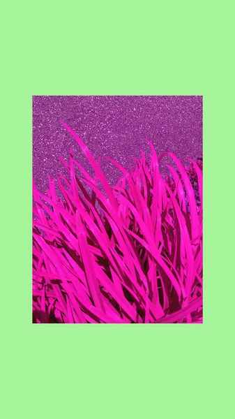 Mode Ästhetische Tapete Telefon Rosa Rosen Blühen Hintergrund — Stockfoto