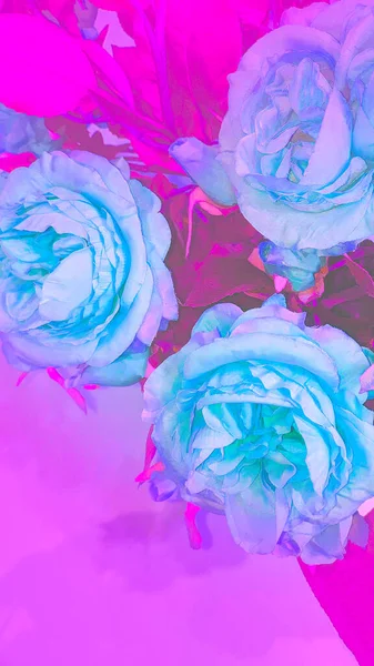 Fashion aesthetic wallpaper phone. Pink roses bloom background