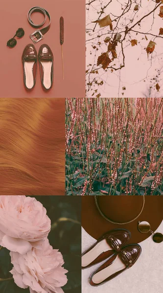 Módní Estetický Moodboard Retro Lady Styl Brown Pantone — Stock fotografie