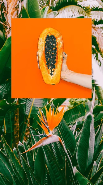 Divatos Esztétikai Hangulattábla Trópusi Hangulat Papaya Narancs Rezgések — Stock Fotó