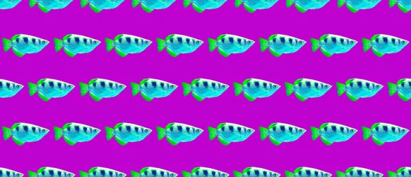 Seamless Pattern Blue Fish Use Shirt Greeting Cards Wrapping Paper — Stock Photo, Image