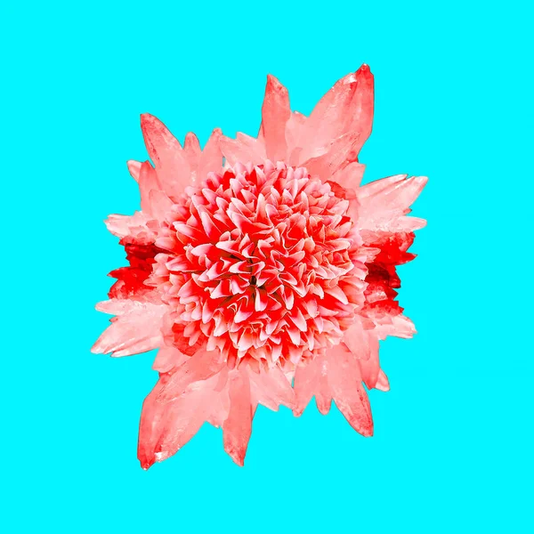 当代艺术拼贴 粉色水晶和花朵 最低限度设计 — 图库照片